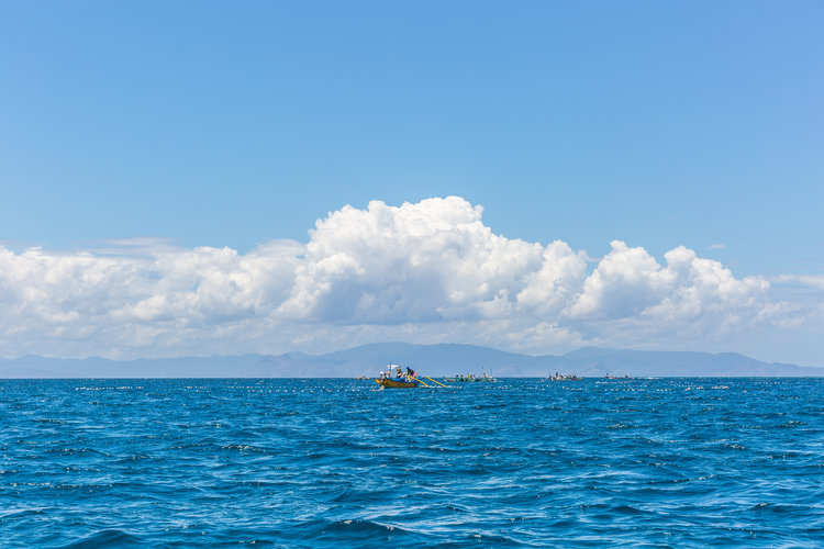 外贸跟单技巧:老鸟总结的3个关键步骤,新手必看! 外贸跟单技巧:老鸟总结的3个关键步骤,新手必看!